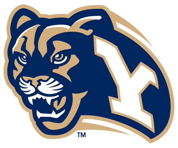 Brigham Young Cougars 1999-2004 Secondary Logo 02 Iron On Transfer
